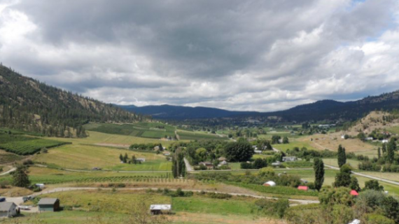 20151001_14437141083125.jpg 1.jpg