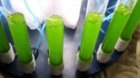 惊动奥巴马和军方，17岁姑娘的床底藏着惊世秘密
