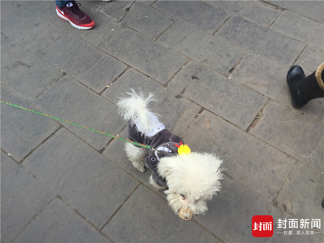 点击查看大图 图片