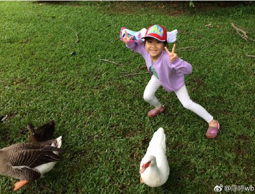 QQ截图20170601171558