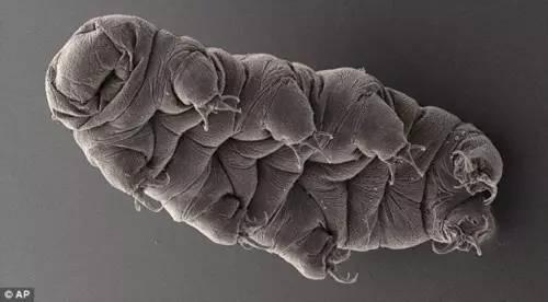 她是&ldquo;少年班&rdquo;出身的哈佛双料教授，与诺奖只差&ldquo;运气&rdquo;二字！