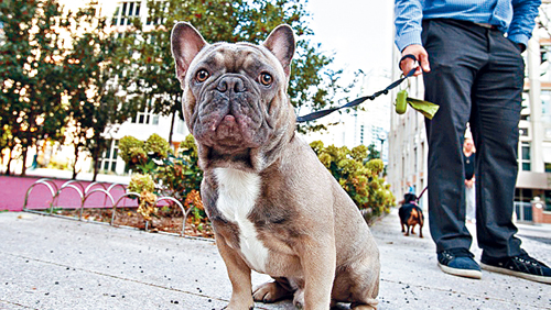 20171016_15082113761195.jpg 1.jpg