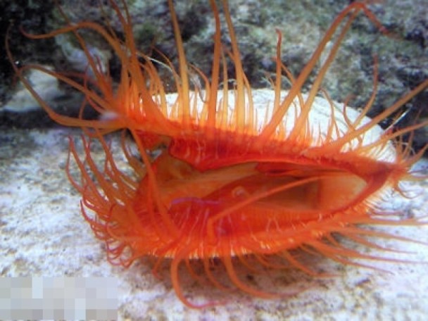 20171228_15145161466554.jpg 2.jpg