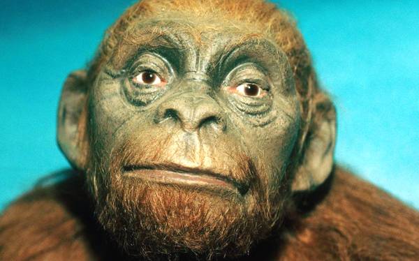 20180131_15174211555950.png 34_103640M8.png