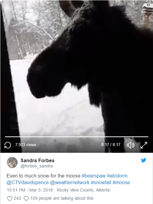 20180306_15203918787847.png 2.png