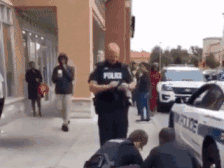 20180929_15382760562412.gif 1.gif