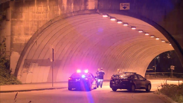 20180810_15339414601078.jpg image.jpg