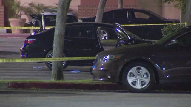 20180810_15339396815164.jpg 20180728_15328275019005.jpg