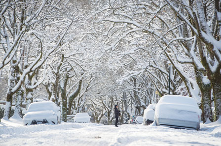 瑞雪兆丰年:环境部预警BC将迎20厘米降雪!别担心,春天很快就来到 瑞雪兆丰年:环境部预警BC将迎20厘米降雪!别担心,春天很快就来到