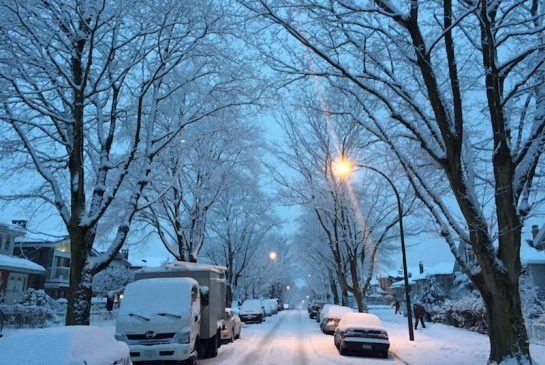 瑞雪兆丰年:环境部预警BC将迎20厘米降雪!别担心,春天很快就来到 瑞雪兆丰年:环境部预警BC将迎20厘米降雪!别担心,春天很快就来到