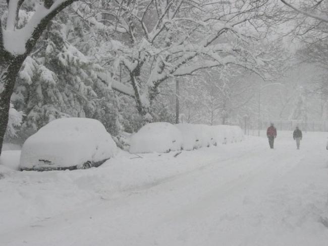 加拿大雪崩警告BC省部分地区可能有大型雪崩 加拿大雪崩警告BC省部分地区可能有大型雪崩