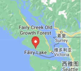 奇迹!BC男子野营失踪74天奇迹获救 暴瘦61磅 奇迹!BC男子野营失踪74天奇迹获救 暴瘦61磅
