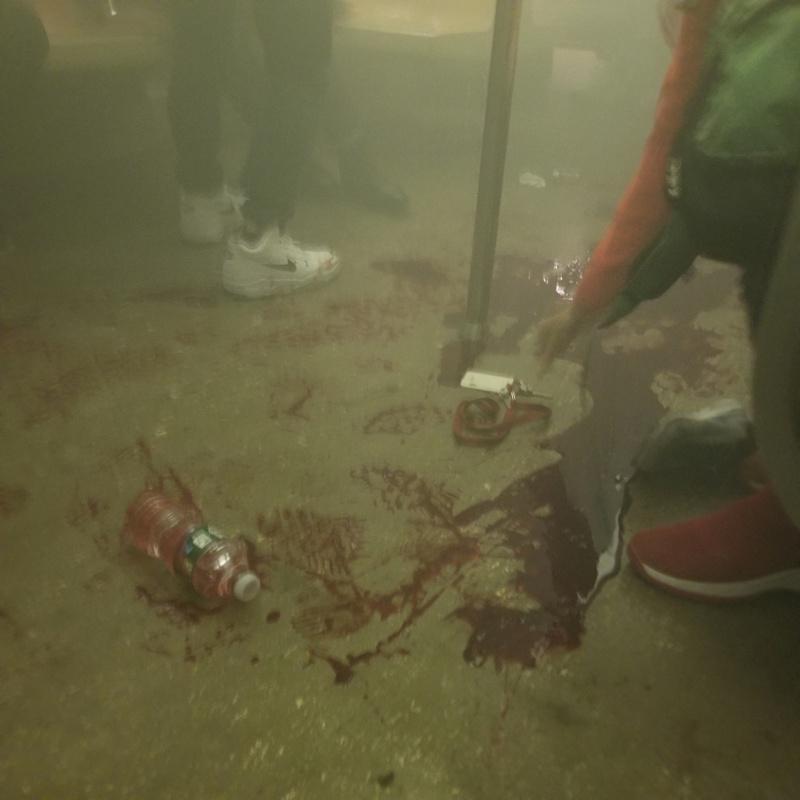 布碌崙(布魯克林)今早8時30分左右發生恐怖槍擊案,造成13人傷,至少七人被槍擊...