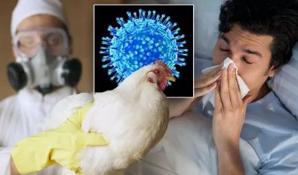 BC突爆新疫情!卫生厅急发新指令 致死率高达60% BC突爆新疫情!卫生厅急发新指令 致死率高达60%