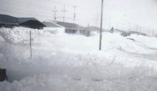 加拿大历史上漫过屋顶的积雪你见过没? 图片