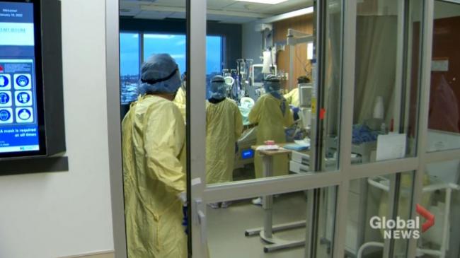 吓一跳:加拿大这省华人新冠死亡率竟这么高 吓一跳:加拿大这省华人新冠死亡率竟这么高