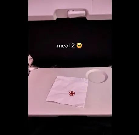 乘客吐槽加航&ldquo;飞机餐&rdquo;：只收到一瓶水+餐巾纸