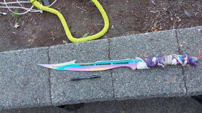 abbotsford-sword-1-6088872-1664419657856 图片