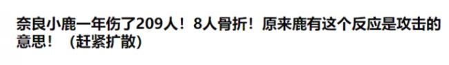 野性!小鹿在市中心追着人咬 女子被熊咬成重伤 野性!小鹿在市中心追着人咬 女子被熊咬成重伤