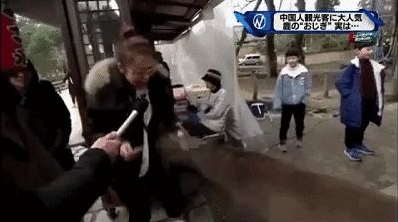 野性!小鹿在市中心追着人咬 女子被熊咬成重伤 野性!小鹿在市中心追着人咬 女子被熊咬成重伤