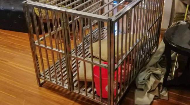 中国女子海外遭绑架 竟被关狗笼3周勒索20万美元 中国女子海外遭绑架 竟被关狗笼3周勒索20万美元