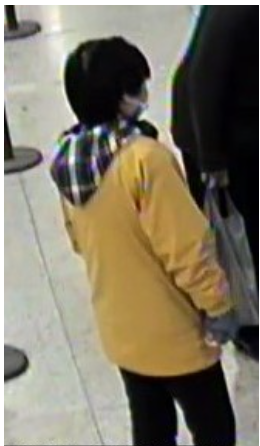 紧急!多伦多17岁华裔女孩失踪一整天 紧急!多伦多17岁华裔女孩失踪一整天