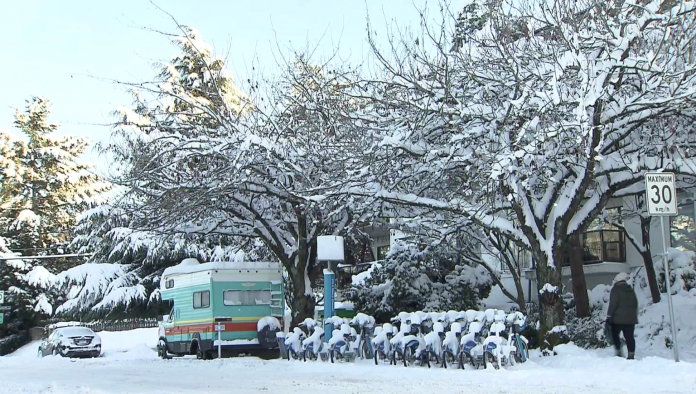 snow 图片