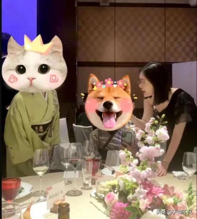 王石夫妇生意经：海外攒高端局 一顿饭标价38万