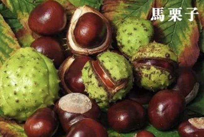 有人薅秃公园,或将被罚 有人薅秃公园,或将被罚