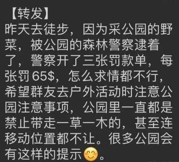 有人薅秃公园,或将被罚 有人薅秃公园,或将被罚