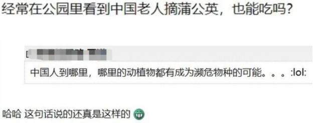 有人薅秃公园,或将被罚 有人薅秃公园,或将被罚