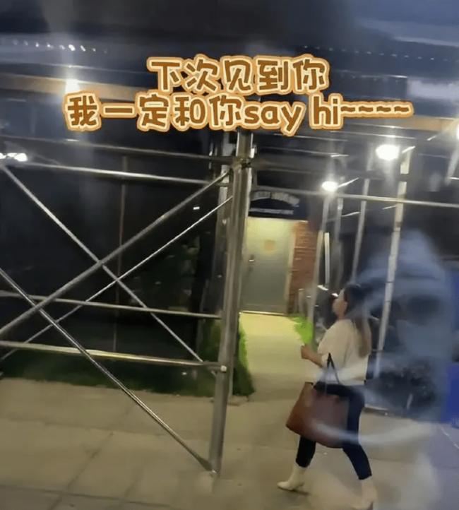 网友美国坐公交偶遇38岁凤姐 现状曝光