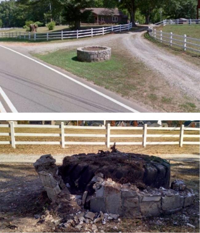 耶鲁华人生为避动物车祸身亡!父母获赔00万 耶鲁华人生为避动物车祸身亡!父母获赔00万