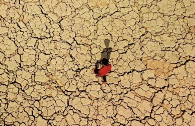 体感直飙42&deg;C，加拿大高温爆表，全国一片红！BC颁布禁令，违者坐牢
