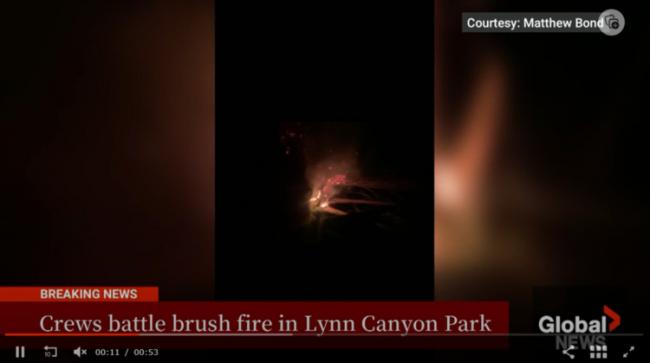 大温华人最喜爱的公园爆发山火 所有徒步道关闭 大温华人最喜爱的公园爆发山火 所有徒步道关闭