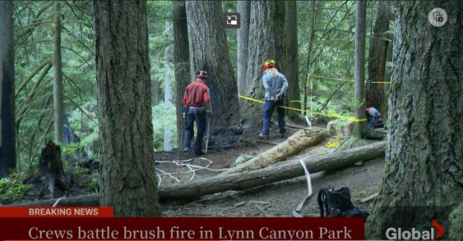 大温华人最喜爱的公园爆发山火 所有徒步道关闭 大温华人最喜爱的公园爆发山火 所有徒步道关闭