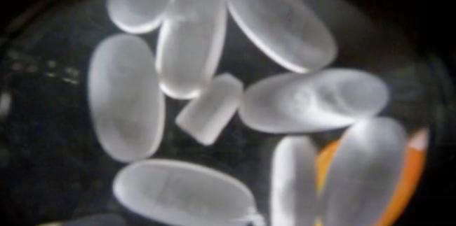 吃了一颗小药片,少年睡梦中死亡 父亲崩溃警告 吃了一颗小药片,少年睡梦中死亡 父亲崩溃警告