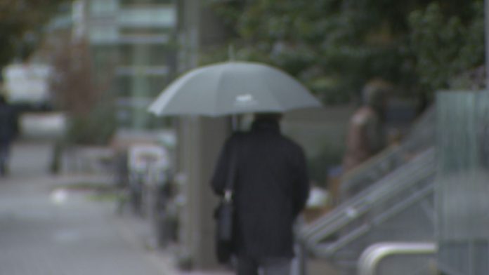 Rainy 图片