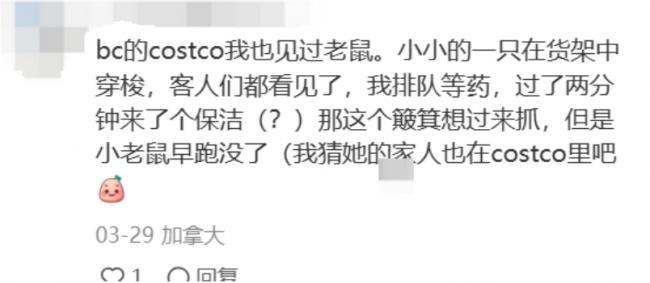 恶心！华人曝光Costco&ldquo;鼠啃香肠&rdquo; 卖得火热