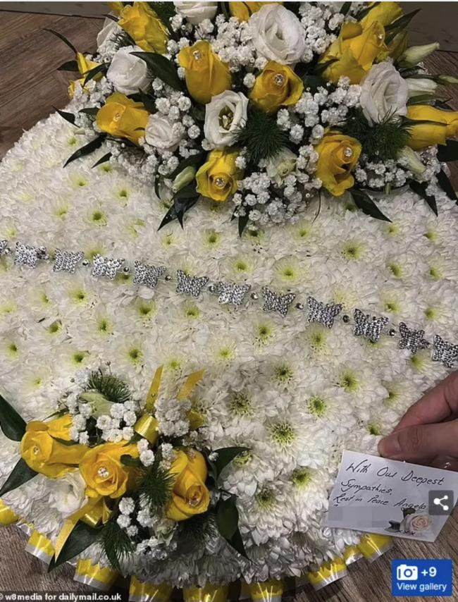 悲痛!华人女生离奇陈尸豪宅!曝光诸多诡异细节 悲痛!华人女生离奇陈尸豪宅!曝光诸多诡异细节