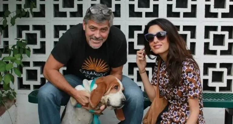 &middot;阿迈勒与克鲁尼收养的狗。