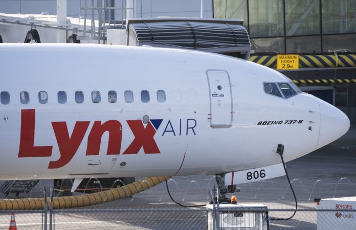 2023f676-0152-4ce3-b3a7-561001b0bc92.jpg 图片