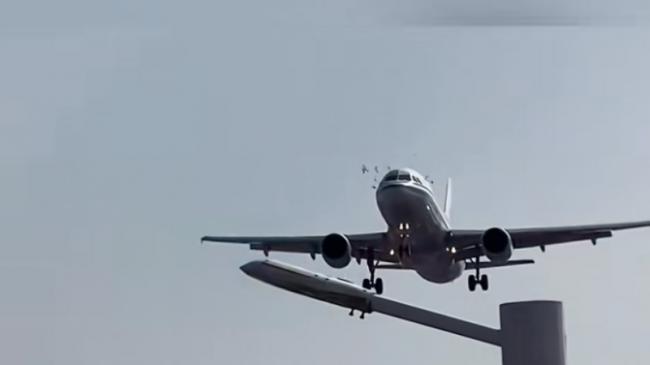 惊险视频曝光:国航客机撞上鸟群 机头染血 惊险视频曝光:国航客机撞上鸟群 机头染血