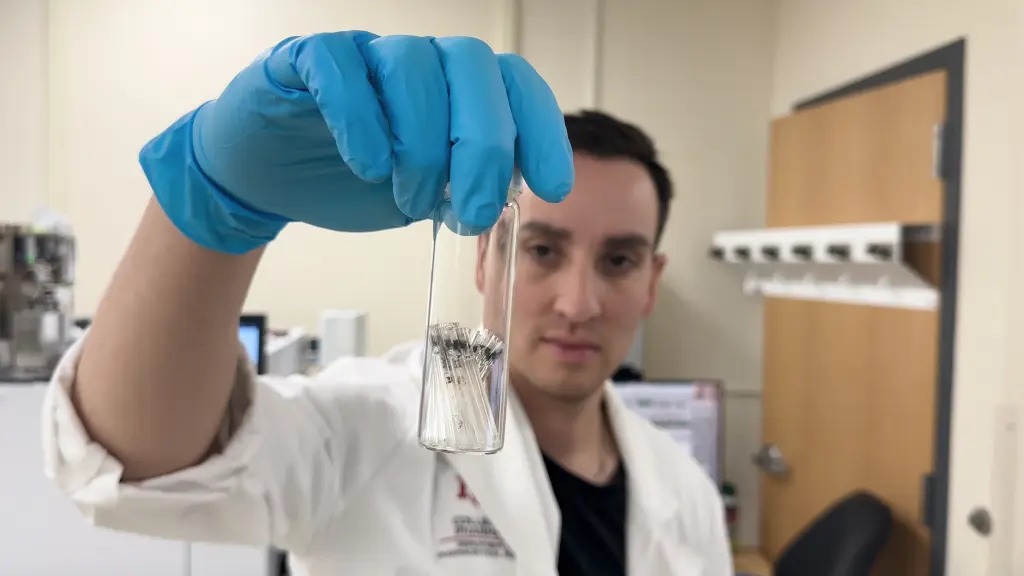 在所研究的大脑中发现的最常见微塑料类型是聚乙烯。 网图