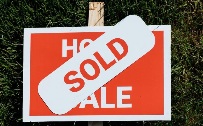 pexels-thirdman 图片