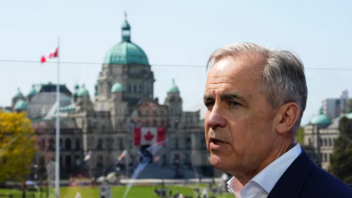 Carney 图片