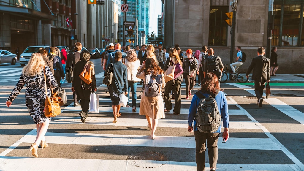最适合年轻人发展的加拿大城市：2023年排名| Radio-Canada.ca