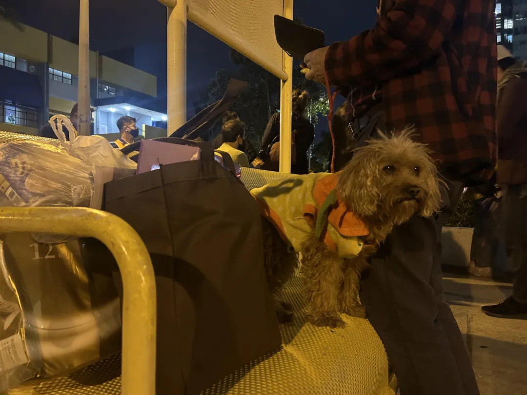 1764254875978607.jpg 1a553f7b6352efe0d54db01b6dc48d29.jpg