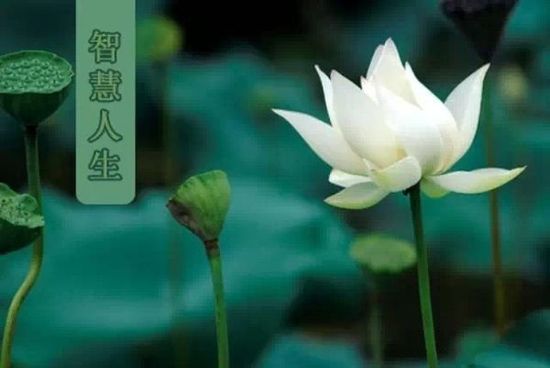 国人的审美大体处于一个什么样的水平？