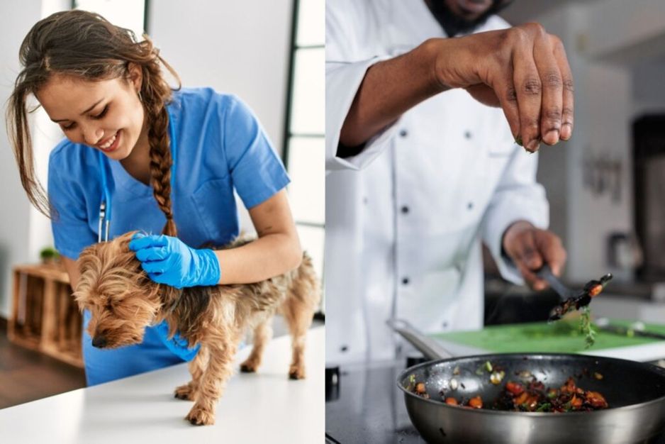 加拿大夏季工作计划